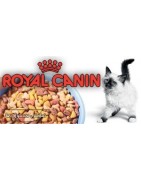 غذای خشک گربه رویال کنین royalcanin خرید قیمت فروش